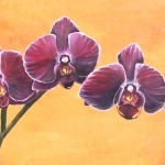 Aubergine Glow, Third On Canvas Alexis Martinez Puleio, Purple Orchid Painting